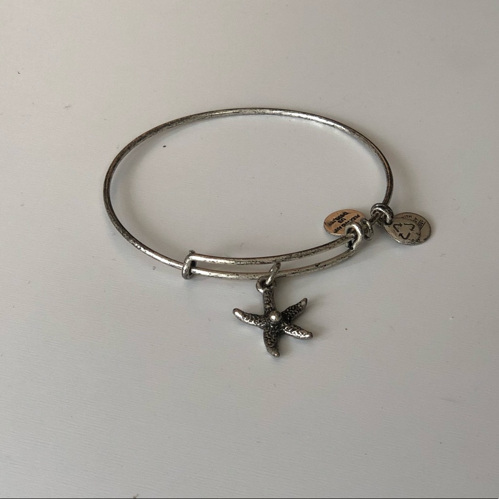 Alex and Ani Charm Bracelet